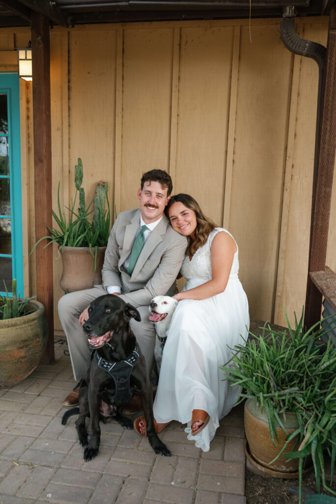 Including My Dog On My Wedding Day Bride and groom sitting on a bench with a large black dog sitting in front of them and a medium sized white dog sitting between them