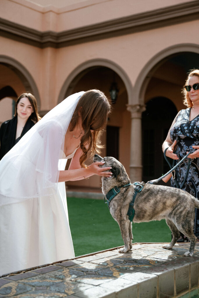 bride leaning over and holding her dogs face